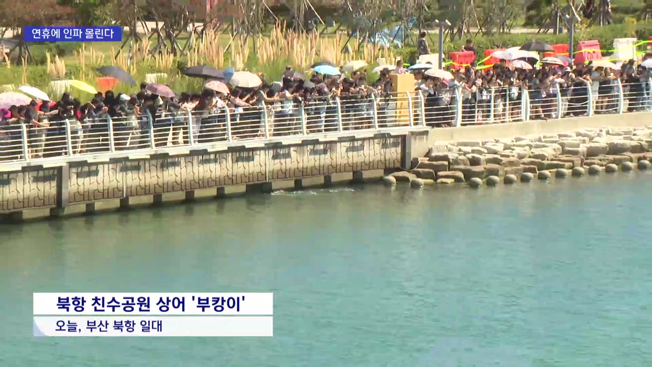 엿새째 머무는 '부캉이'…추석 인파 안전 '비상'