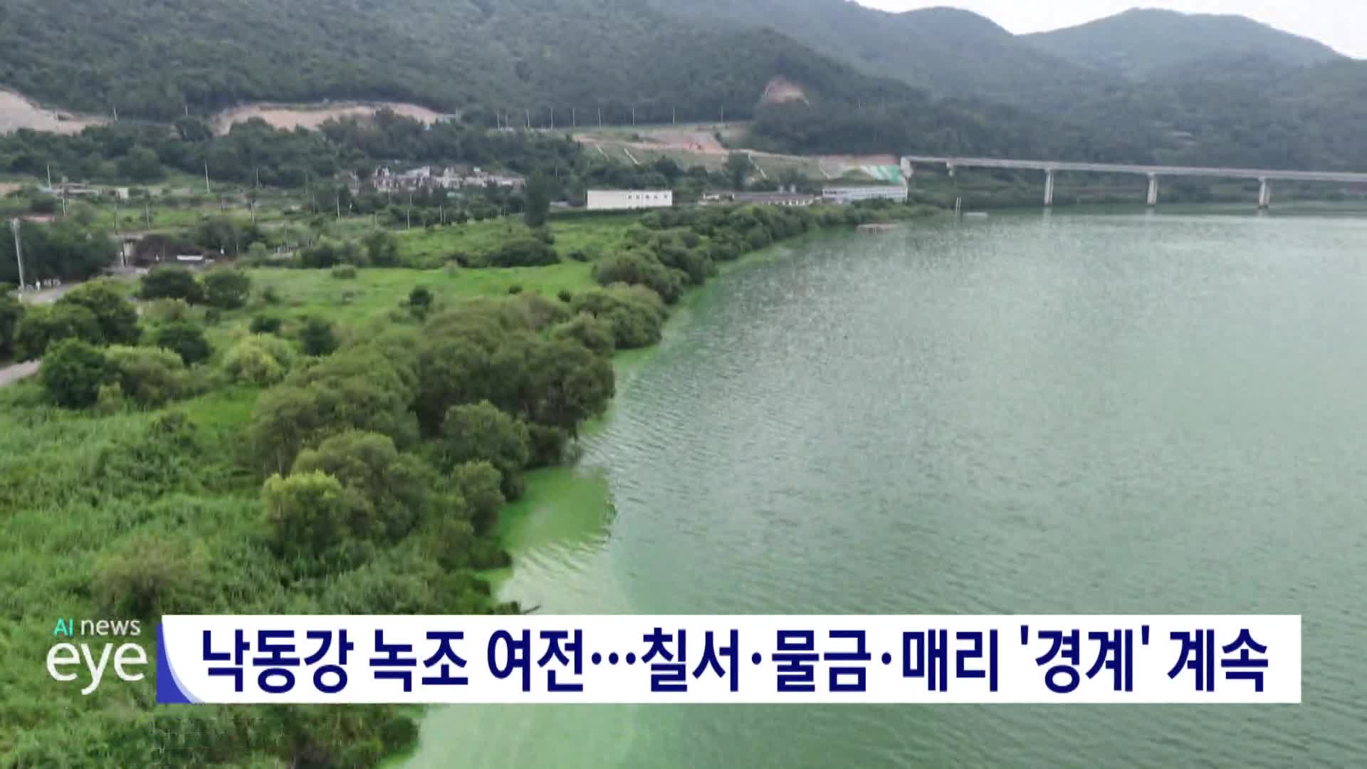 낙동강 녹조 여전...칠서*물금*매리 '경계' 계속