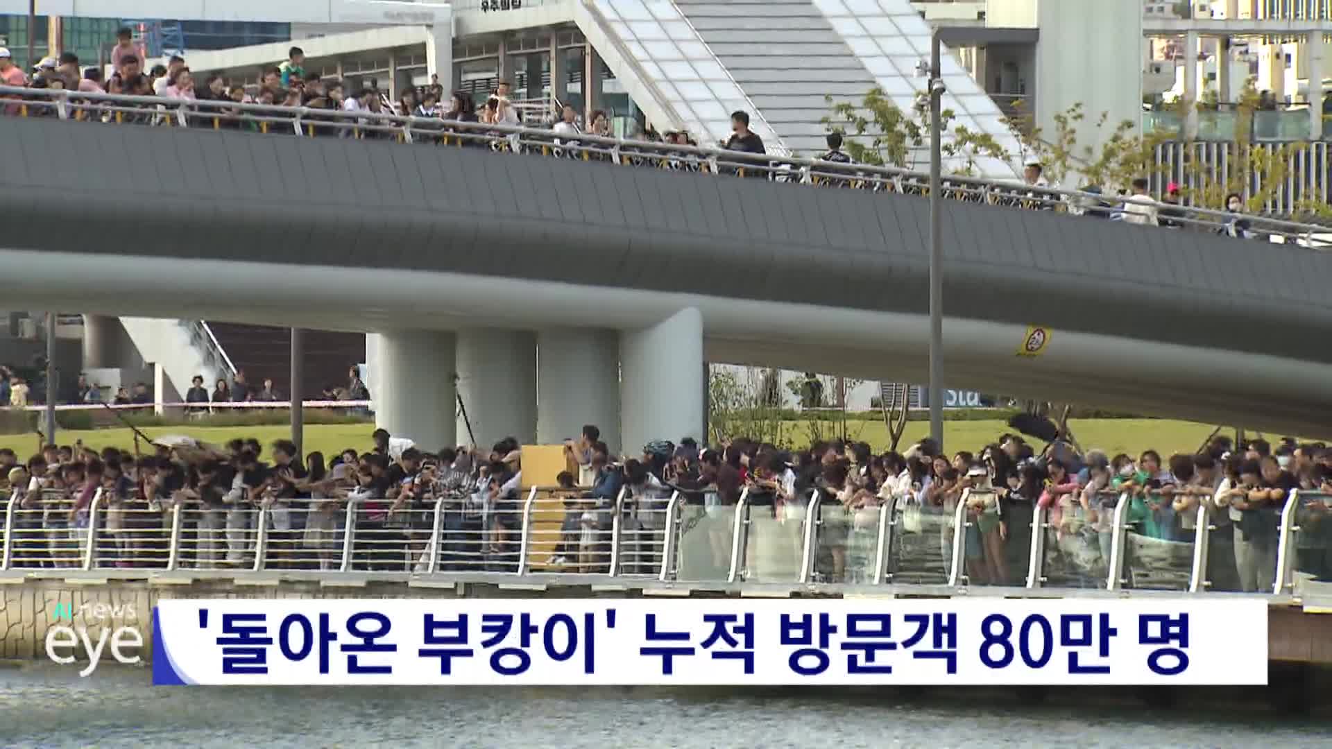 '돌아온 부캉이' 누적방문객 80만 명