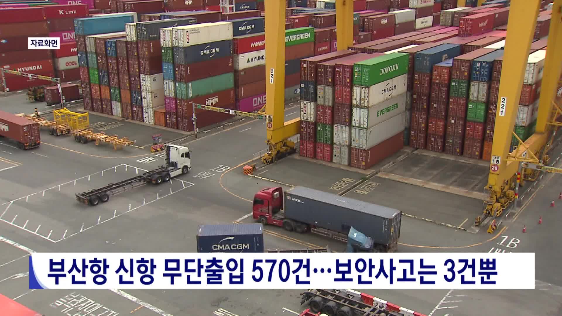 부산항 신항 무단출입 570건... 보안사고는 3건뿐 