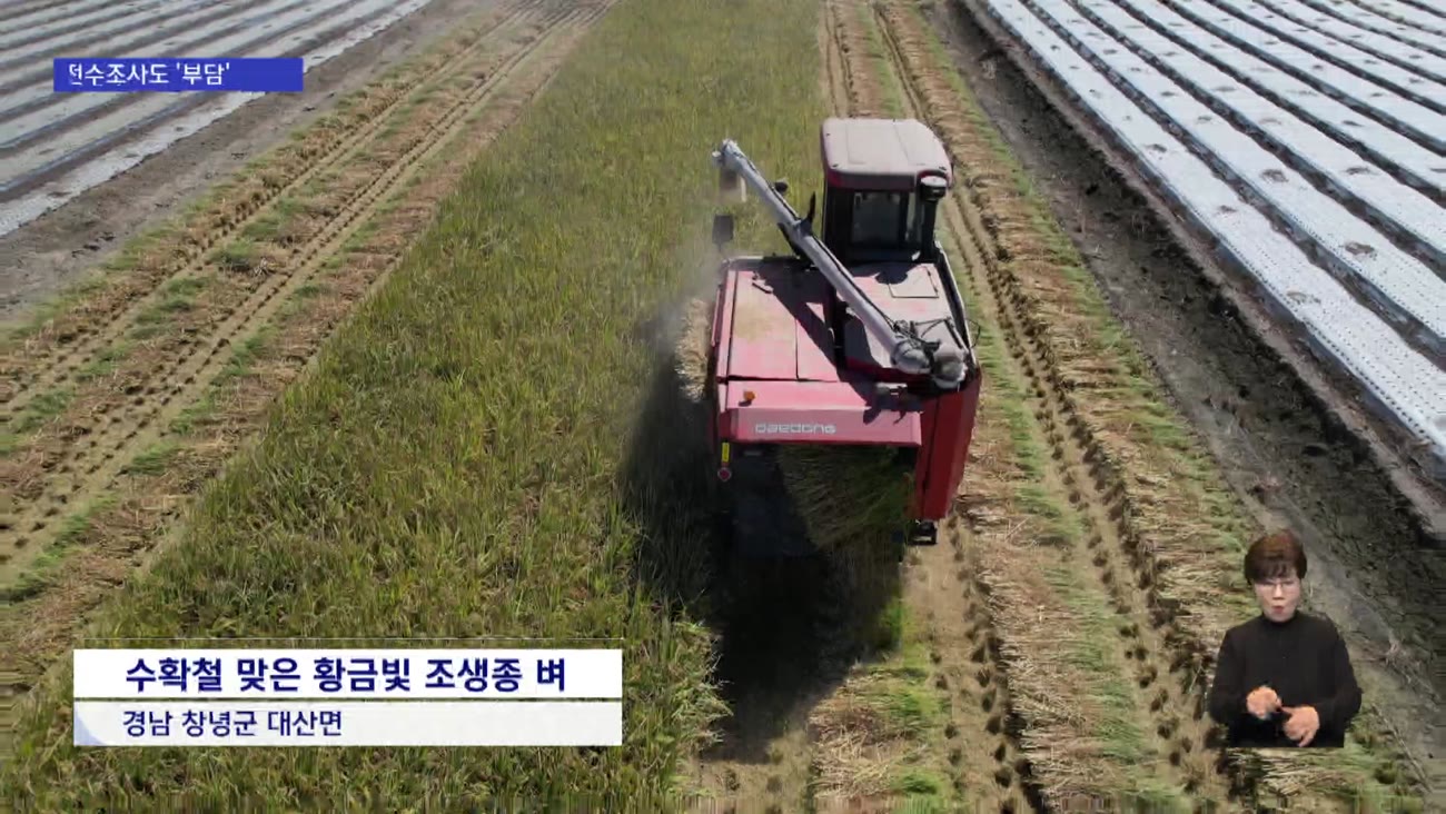 쌀 소비 반토막…수매가 하락에 농민 '시름'