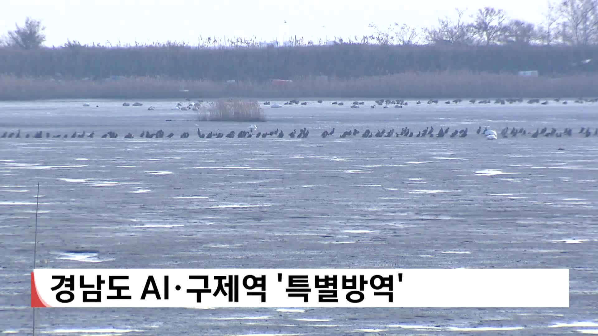 경남도 AI*구제역 '특별방역'