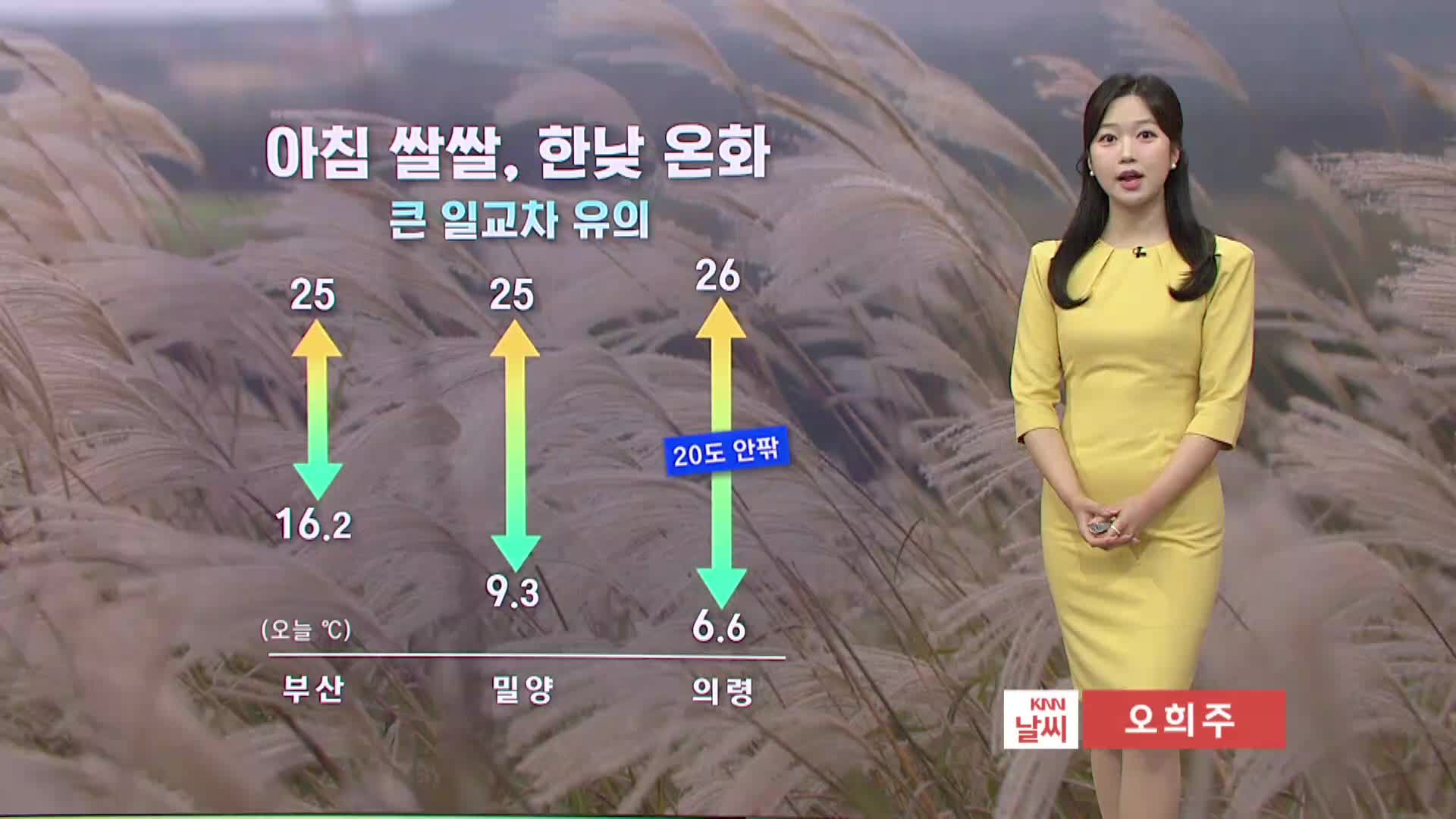 [모닝와이드 날씨] 절기 '한로', 쌀쌀한 아침·한낮 25도 안팎...큰 일교차 유의