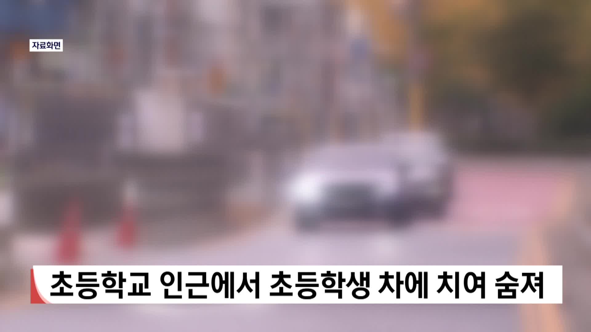 초등학교 인근에서 초등학생 차에 치여 숨져