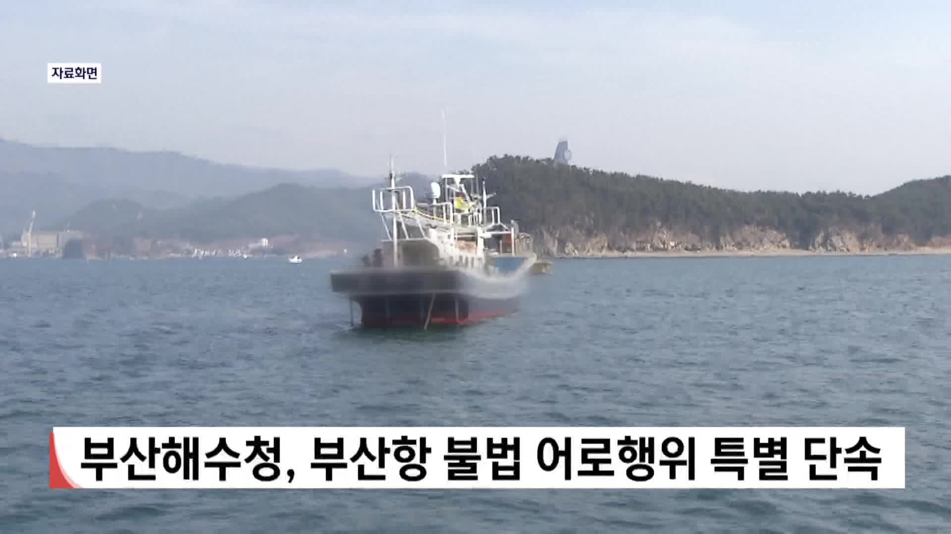 부산해수청, 부산항 내 불법 어로행위 특별단속