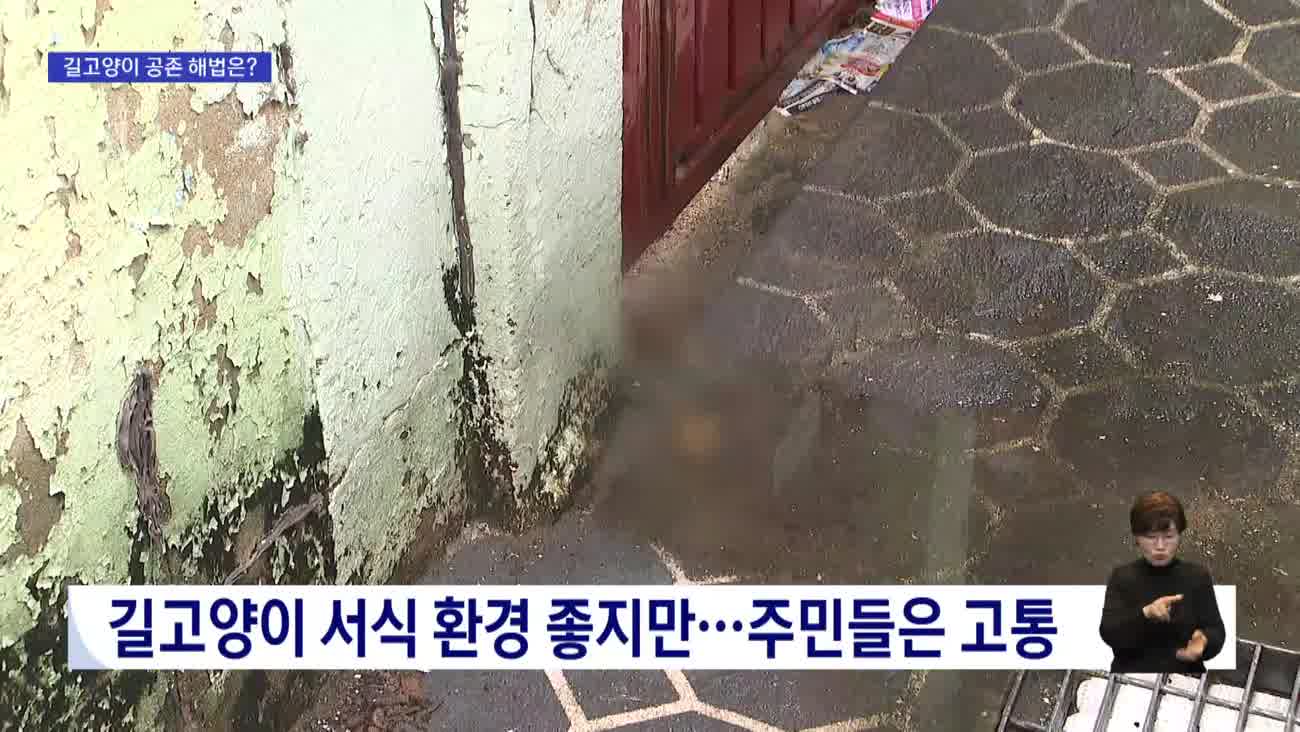 '치워도 또'…길고양이 배설물에 이사까지