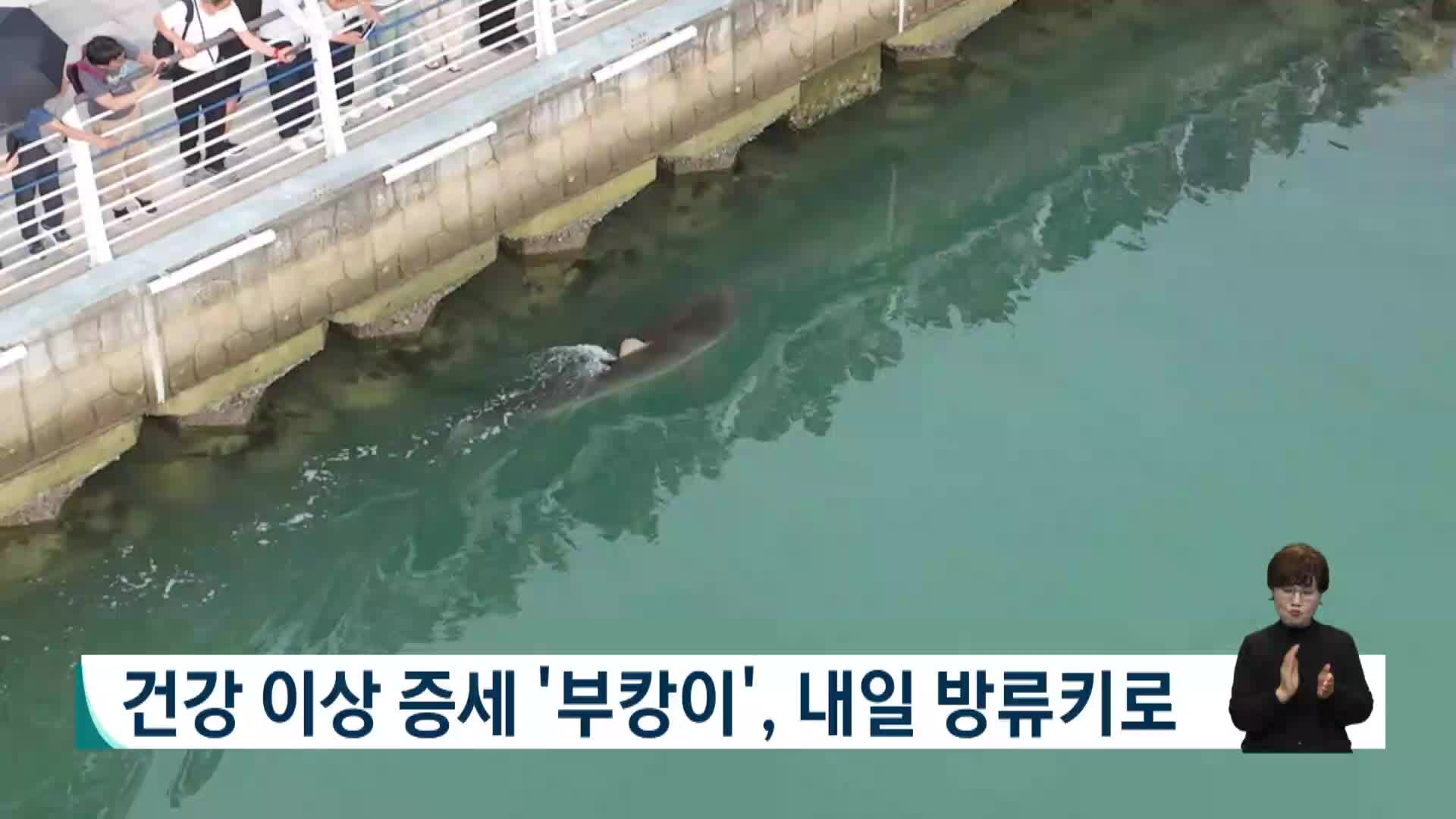 건강이상 증세 '부캉이', 내일 방류키로