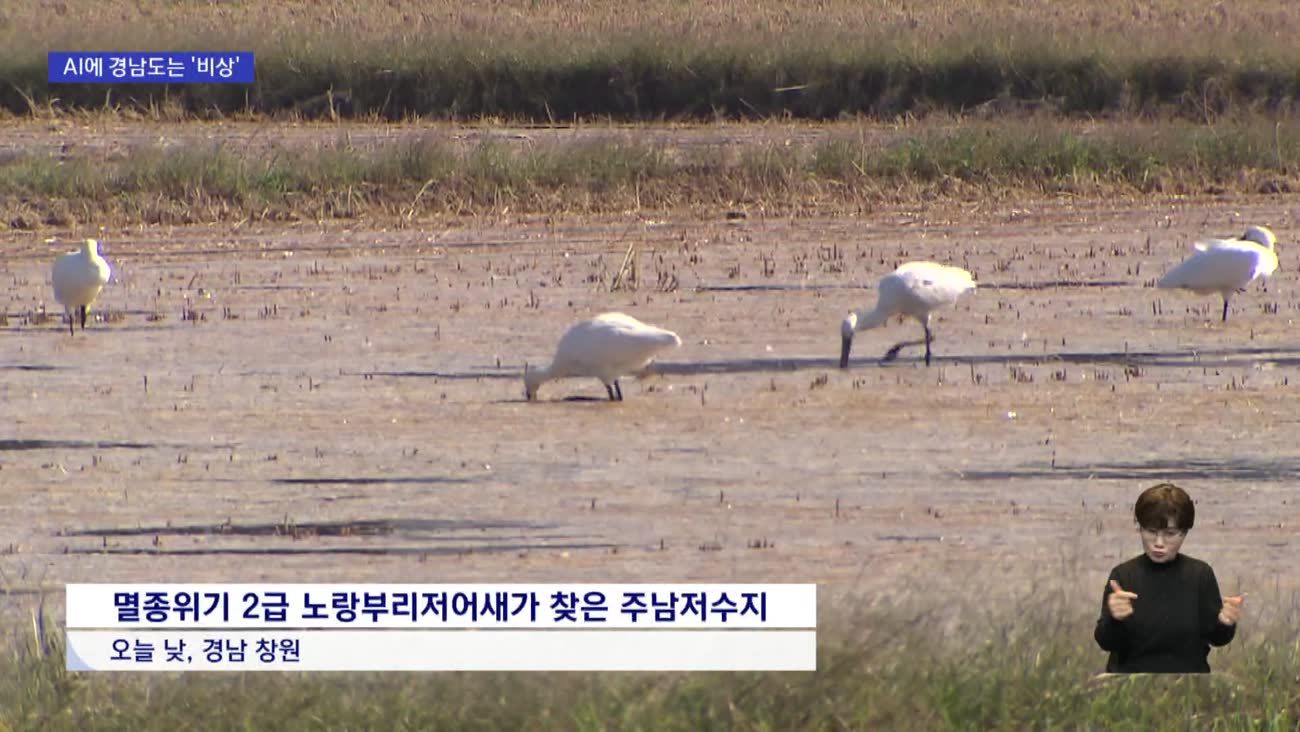 경남 찾은 겨울진객들...반길 수만 없네