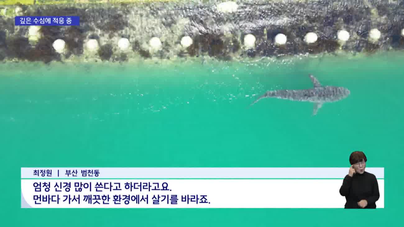 찬 바람 부니 부캉이 떠날 준비? "외해 적응 파란불"