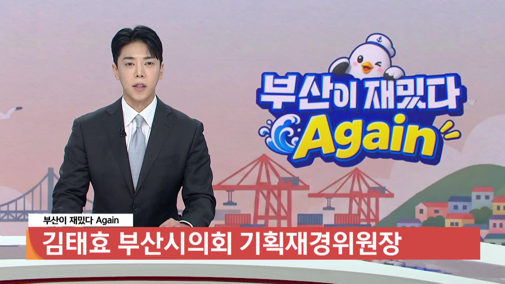 [부산이재밌다 again] 부산 시의원 김태효